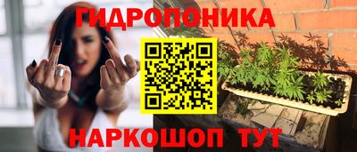 ПСИЛОЦИБИНОВЫЕ ГРИБЫ Будённовск