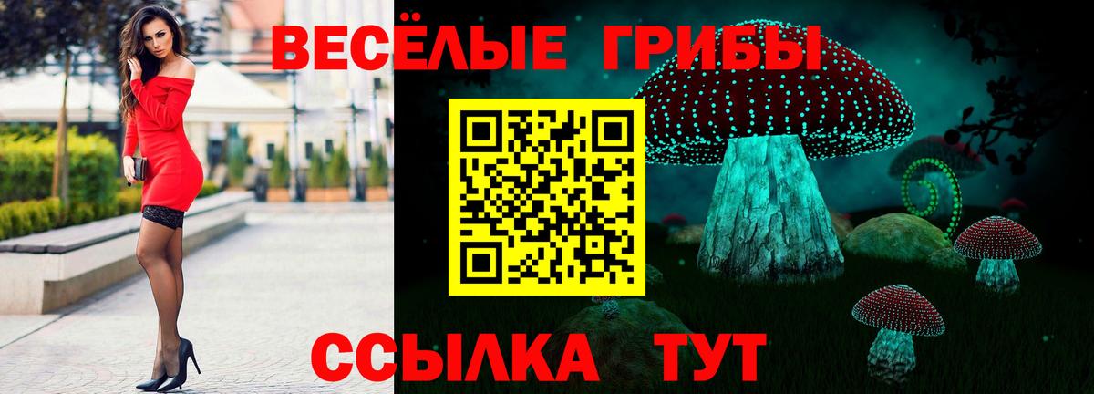 Псилоцибиновые грибы Psilocybe  Вход с VPN  Котлас 